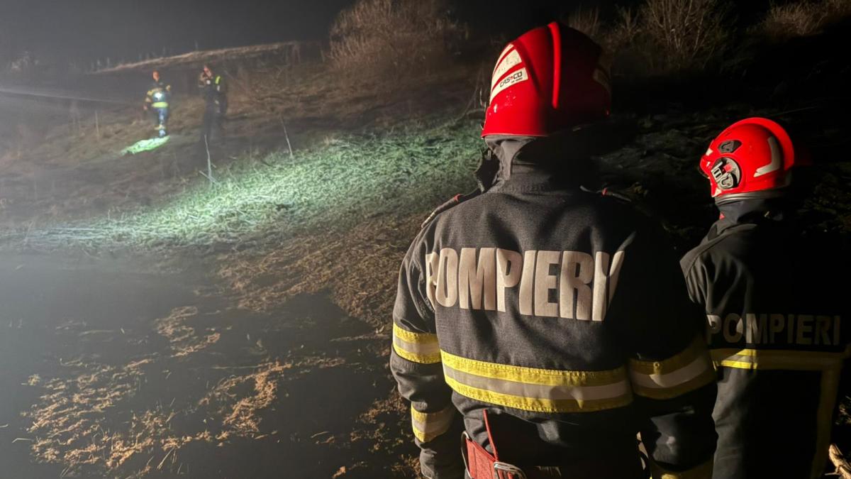 O dronă a căzut la Tulcea și a provocat un incendiu de vegetație