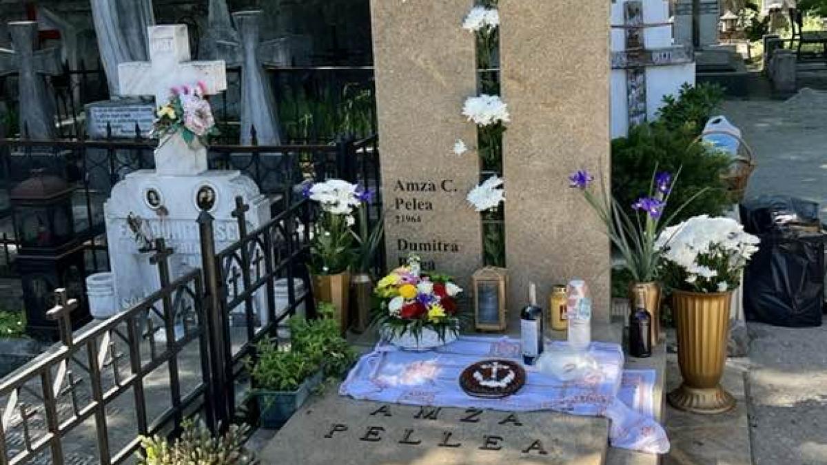 „Unde sunt banii?” Oana Pellea, acuzații grave după ani de procese pentru drepturile lui Amza Pellea
