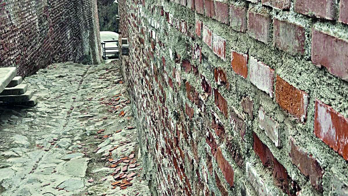 Poenari, în topul scandalurilor de renovare, după Râșnov și Curtea Domnească. Cetatea lui Vlad Țepeș, distrusă de Dorel și cucerită de urși