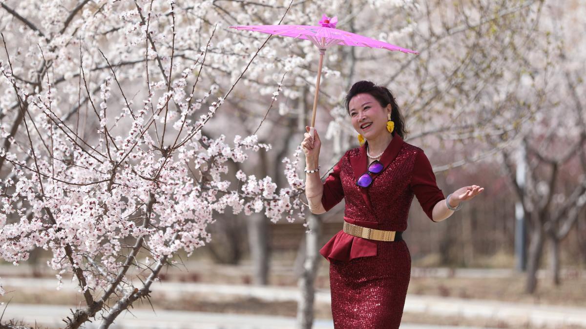Șase zodii chinezești lovite de noroc pe 5 aprilie 2026. Ziua care le schimbă complet destinul