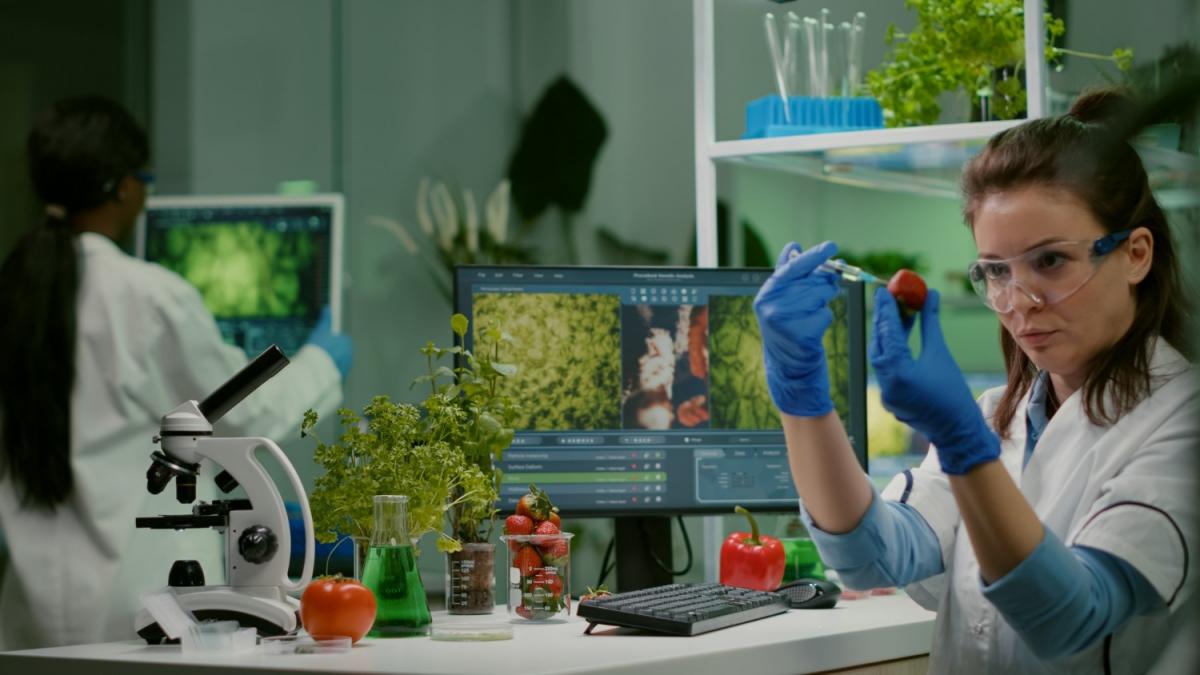 Decizia care ne schimbă mâncarea. Comisia Europeană dezlănțuie invazia plantelor modificate genomic