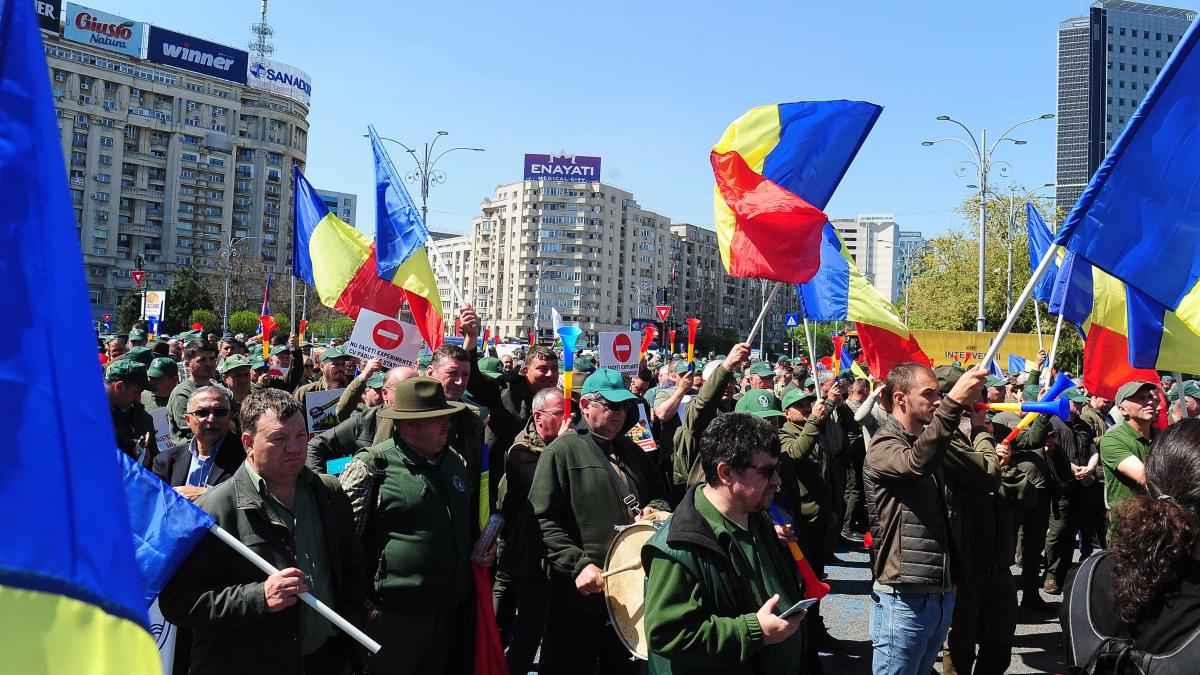 protest piata victoriei confederatia meridian