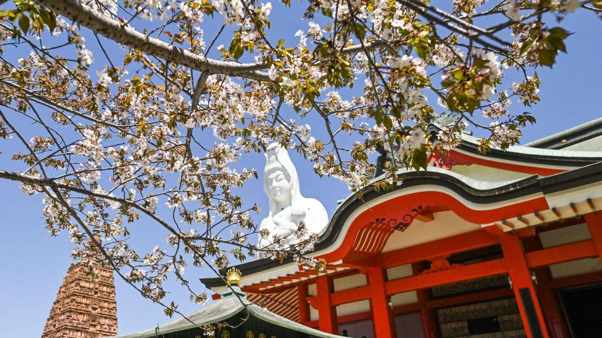 Horoscop chinezesc 3 mai 2026: cine sunt nativii care atrag bani, oportunități și succes