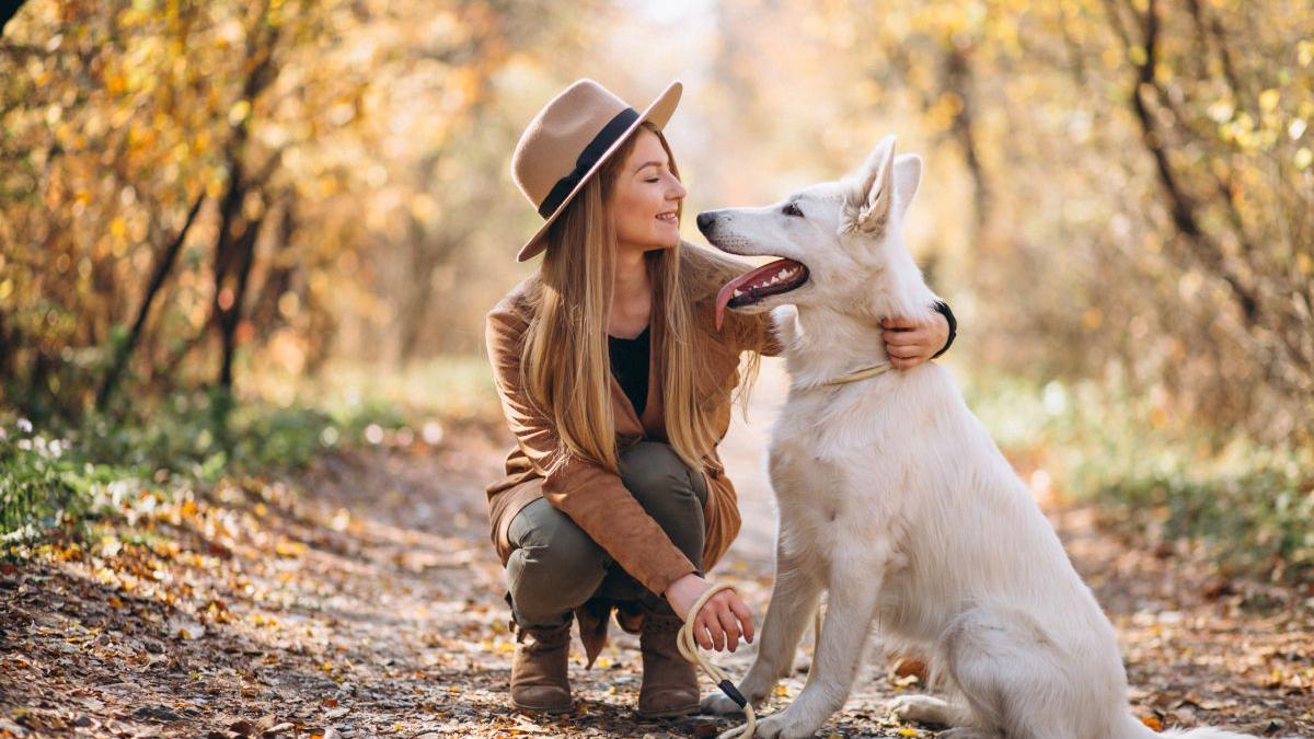 4 zodii ale celor mai buni stăpâni de animale de companie