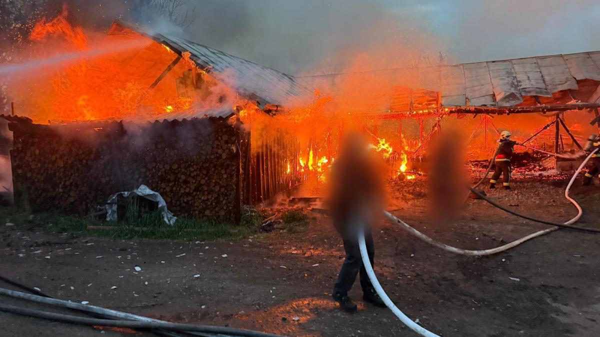 Incendiu violent: Ard două adăposturi de animale din Frătăuții Vechi