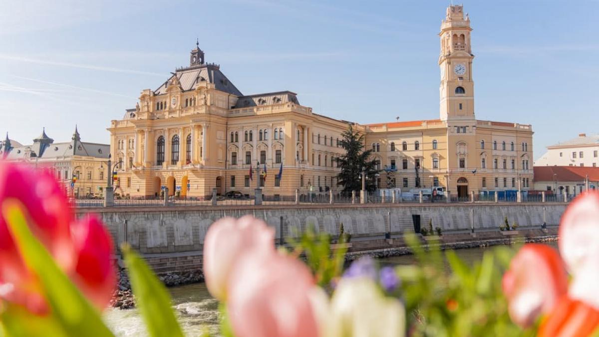 Lecția Oradea pentru România: „Pomul ineficienței trebuie scuturat violent”