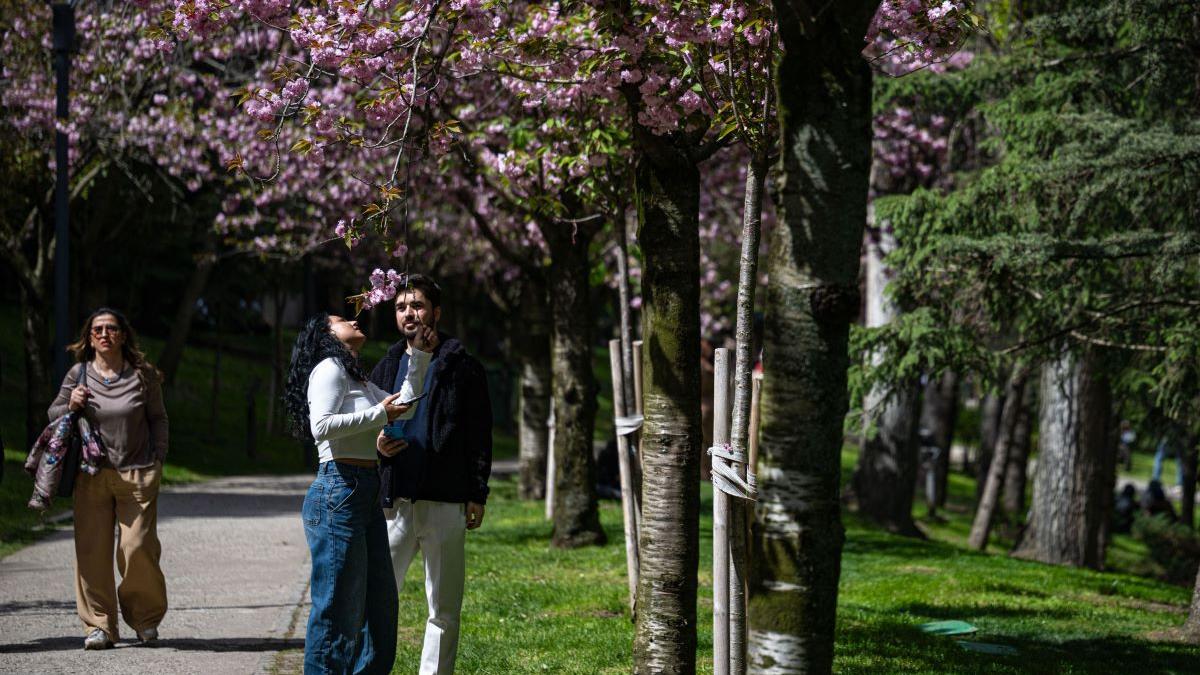 4 luni de naștere care vor păși în necunoscut în această săptămână. Schimbările care le pot transforma complet viața