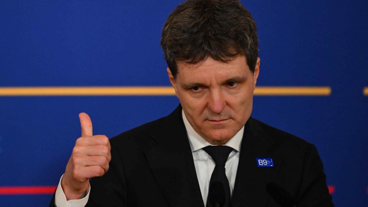 Lovitură pentru președintele Nicușor Dan la CCR: S-a dat undă verde la vânătoarea de urși