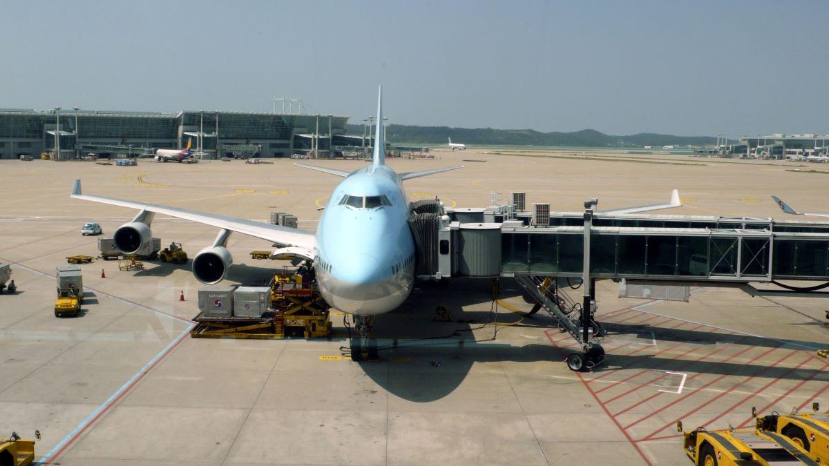 Se întorcea din Cipru când a izbucnit haosul în avion. Un bărbat de 35 de ani a murit după ce a fost imobilizat în timpul zborului