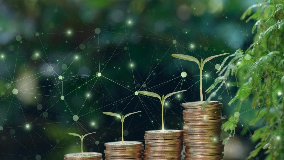 SME Eco-Tech: Un nou instrument de finanțare pentru IMM-uri