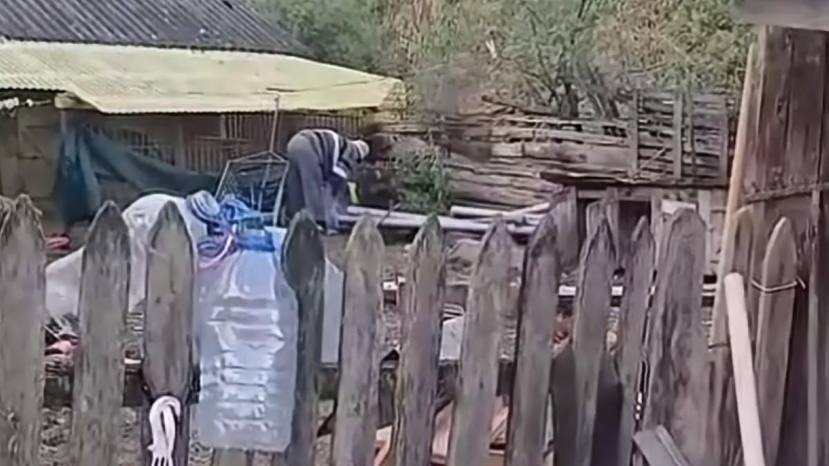 un batran a ucis o pisica acum este cercetat penal