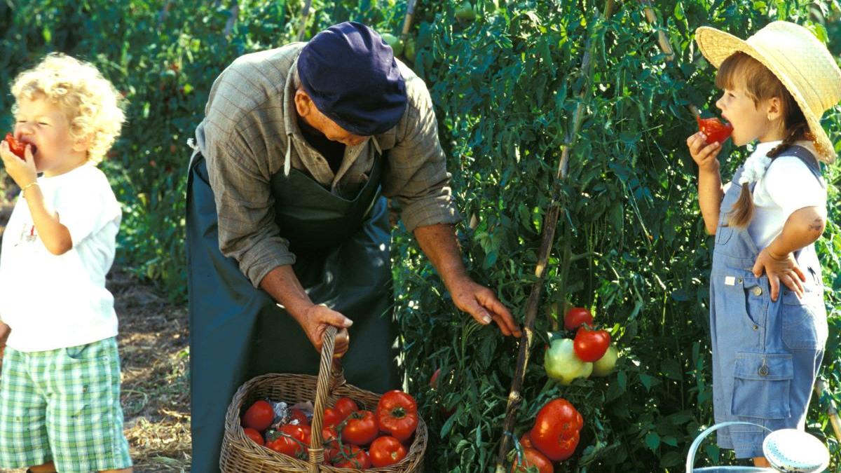 6 trucuri simple care îi ajută pe copii să accepte mai multe legume