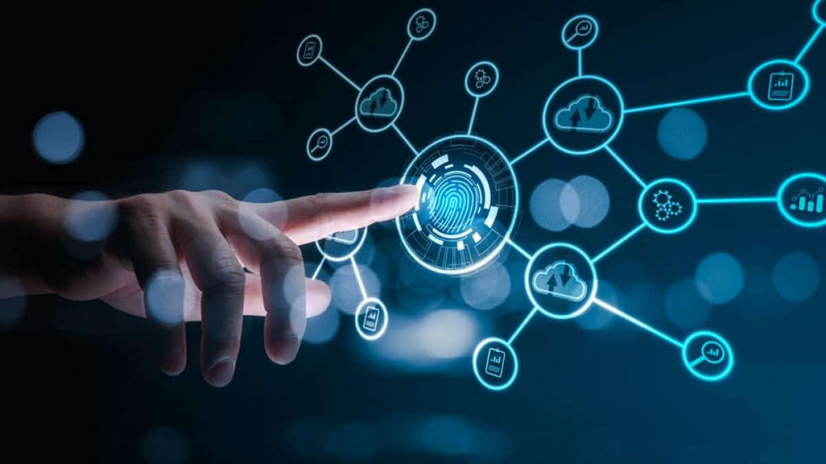 Cum pot companiile să își organizeze mai eficient proiectele și procesele digitale