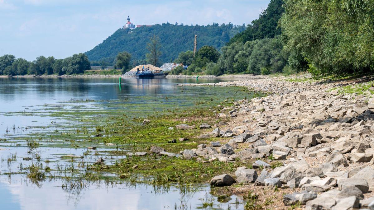 Secetă alarmantă în august: Dunărea se micșorează, iar râurile din țară rămân fără apă