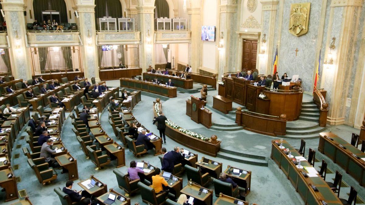 Senatul decide soarta amendamentelor care îi vizează pe Dominic Fritz și Mirabela Grădinaru