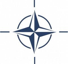NATO se va alătura coaliţiei împotriva Statului Islamic, dar nu va participa la lupte