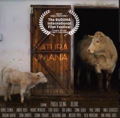 Proiecție de film în cadrul expoziției Apocalipsa Elefantului Alb