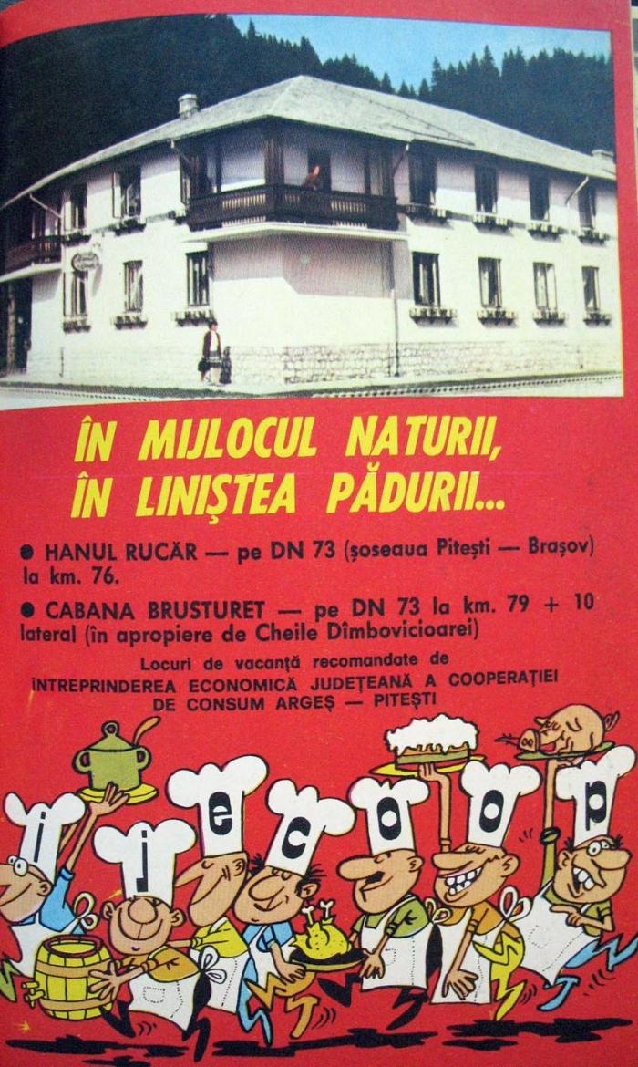 Insemnele epocii 18372900