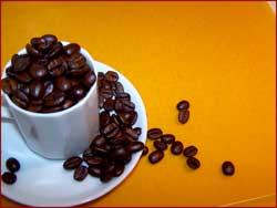 Proiect - Certificarea cafelei
