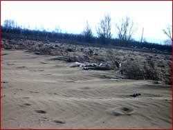 Desertificarea Olteniei - Seceta, defrisari masive si lipsa impaduririlor