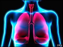 Sanatate &#150; Consumul de carne duce la aparitia bolilor pulmonare