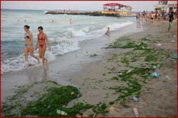 Invitaţie la mare - La vară, fără alge pe litoralul romanesc