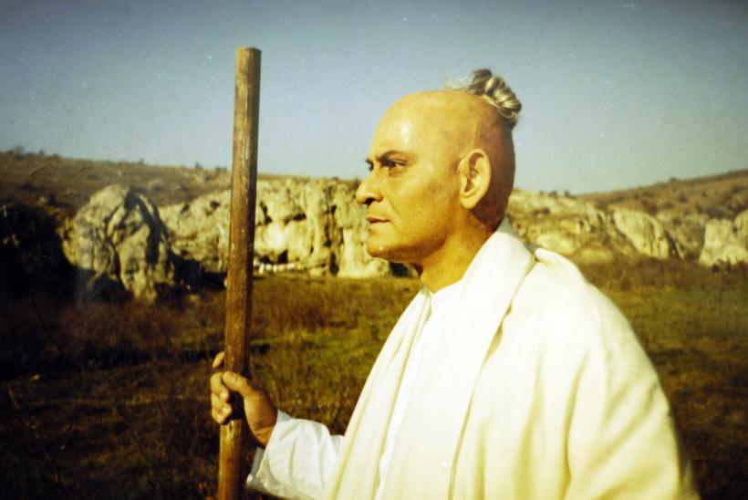 ADRIAN PINTEA 18360877