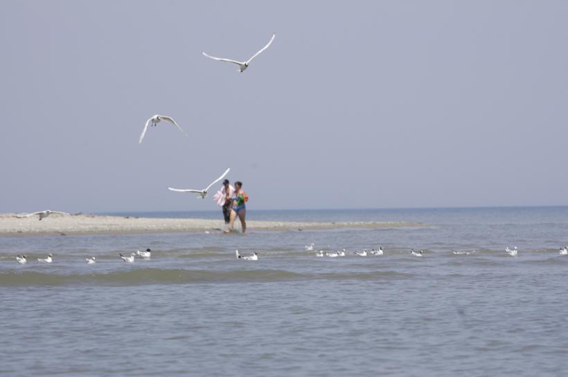 Plaje inchiriate ilegal in Deltă