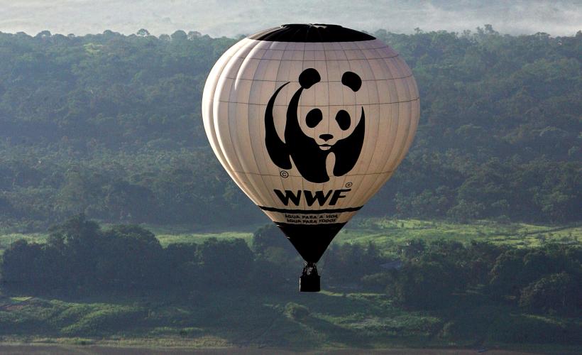 Panda salvează lumea
