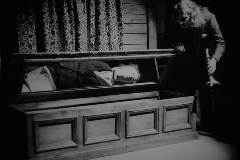 FLORIAN PITTIŞ  18361585