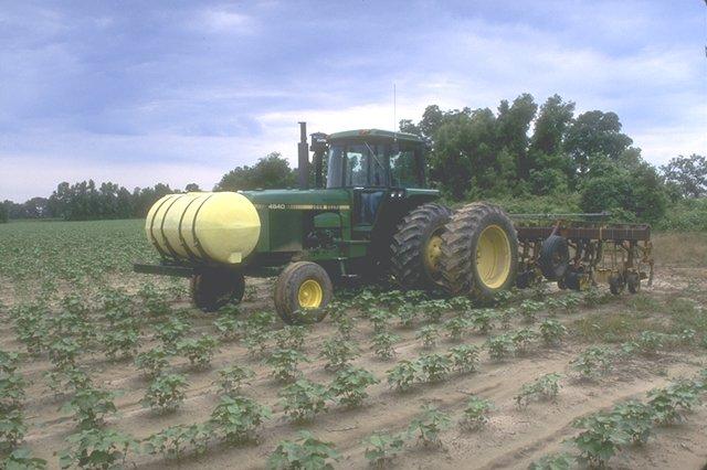 Un mit răsturnat  -  pesticidele NU mai cresc randamentul culturilor !