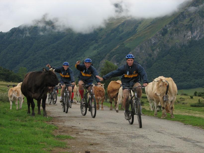Rugby  -  Curse mountainbike prin Pirinei