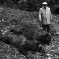 Cadoul lui Ceauşescu pentru Kim Ir Sen: Pielea ursului...