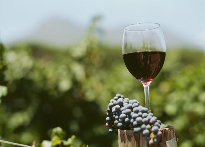 Vinul roşu- benefic in cancere şi boala de inimă