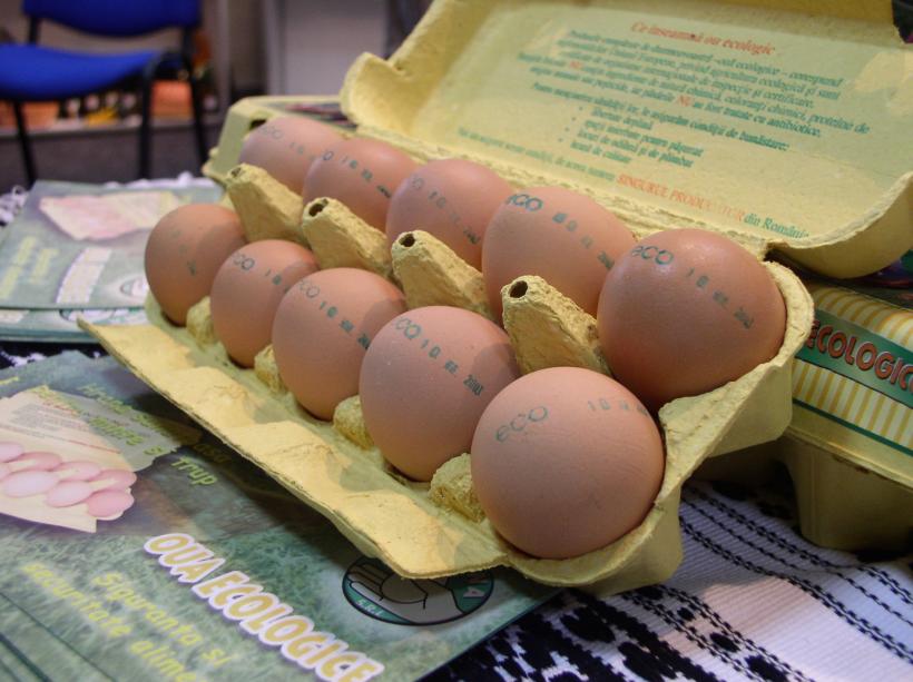 Produsul zilei - Ouă de la găini nestresate