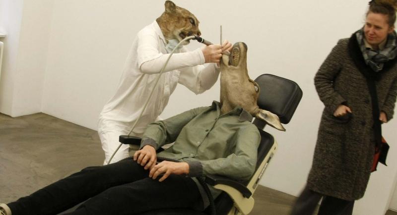 Puma – dentist şi căprioara, pacient