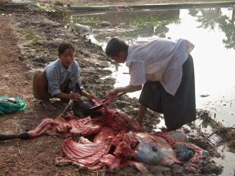 Myanmar / Autorităţile refuză ajutorul internaţional