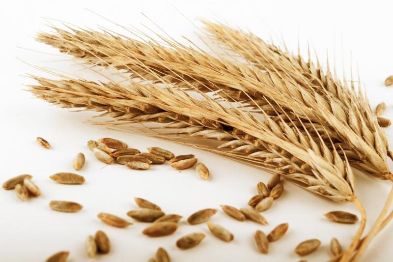 Grîul integral - Vitaminele şi mineralele din cereale previn bolile cardiovasculare