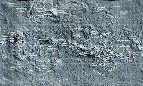 Români de pe alte planete  18363692
