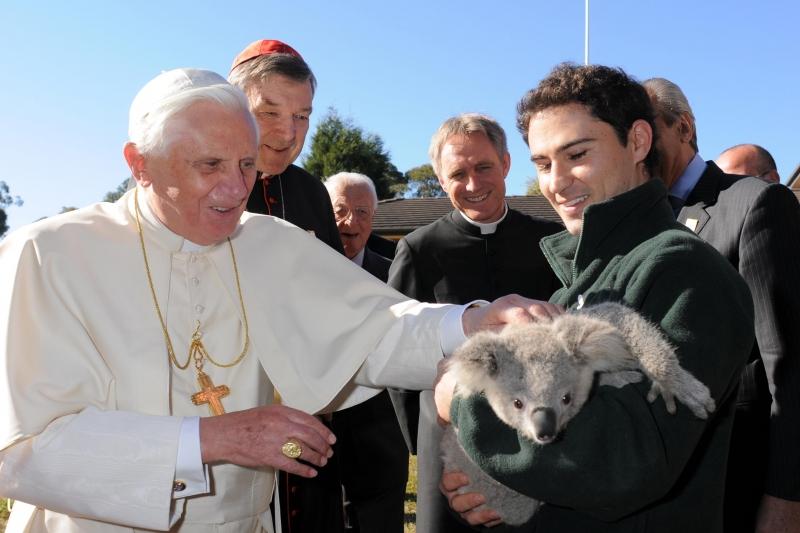 INEDIT - Papa a fost vizitat de un urs koala