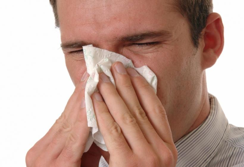 Gripă blîndă