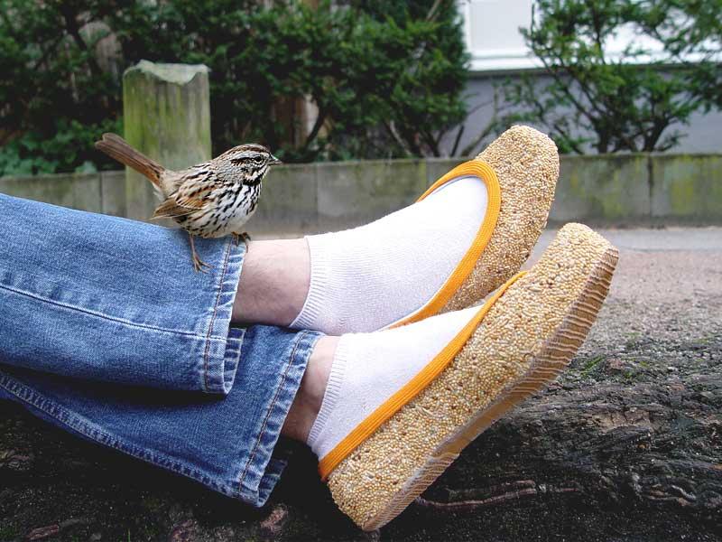 Muzeul virtual al pantofilor!   18363824