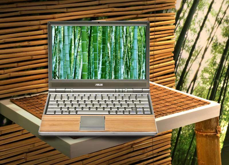 Administraţia publică din România se va înnoi cu laptop-uri din bambus
