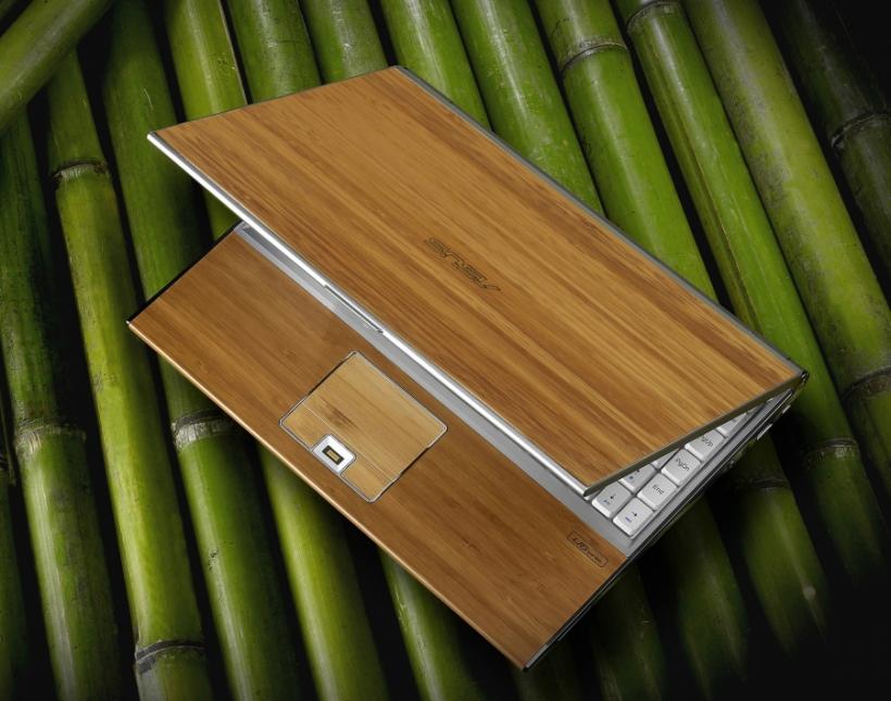 Bambus pentru notebook