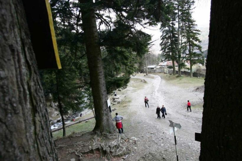Bucegi - Actiune de salvare 18364124
