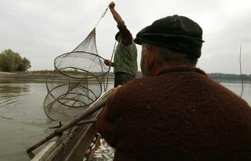 Pescuitul industrial, interzis în Delta Dunării