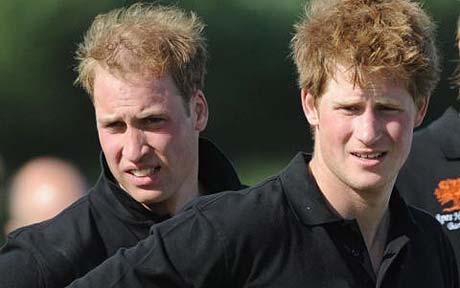 Prinţii William şi Harry, posibile ţinte ale grupărilor IRA