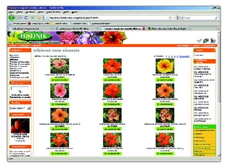 Magazine online pentru amatorii de plante rare sau varietăţi spectaculoase