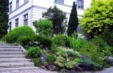 Grădina botanică "Alexandru Borza" din Cluj, un loc de vizitat