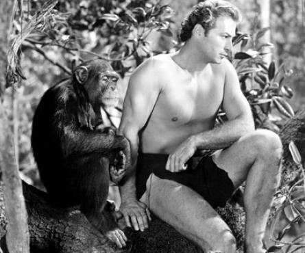 Întrebari care macină / Tarzan, un sălbatic rasist sau eco-războinic?